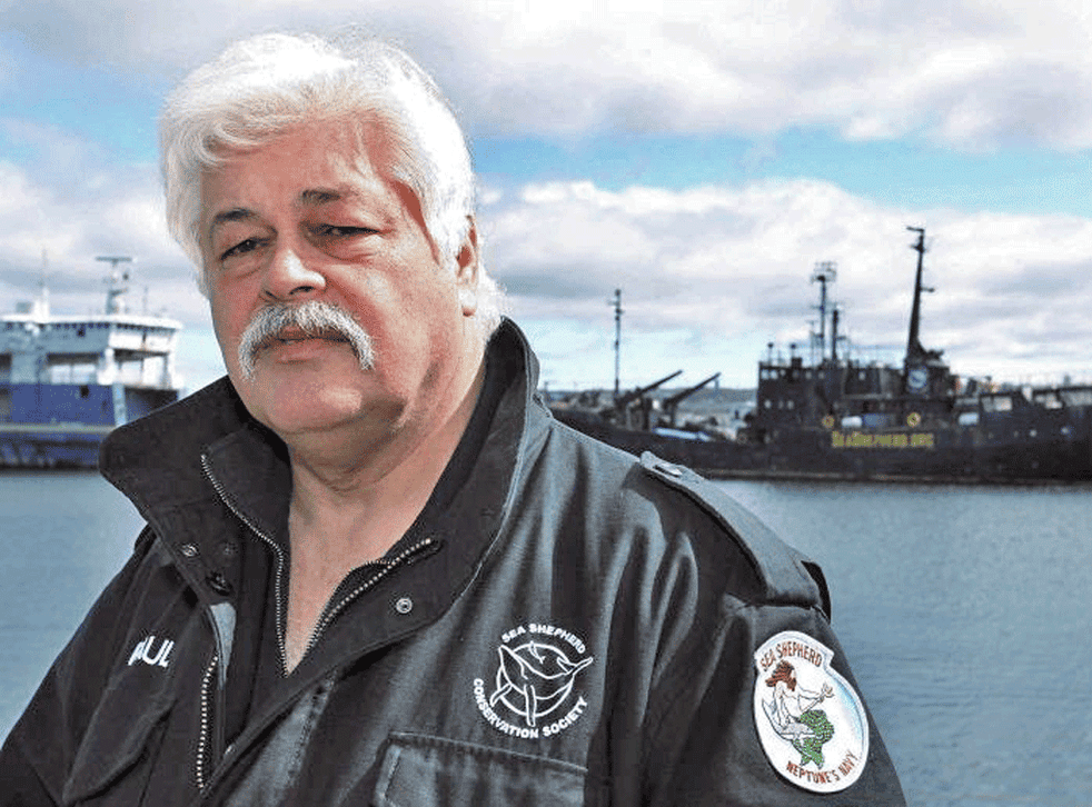 Paul Watson is accused of using his ship to hit an illegal shark
fishing vessel